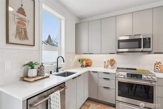 kitchen with a sink, gray cabinetry, stainless steel appliances, modern cabinets, and tasteful backsplash