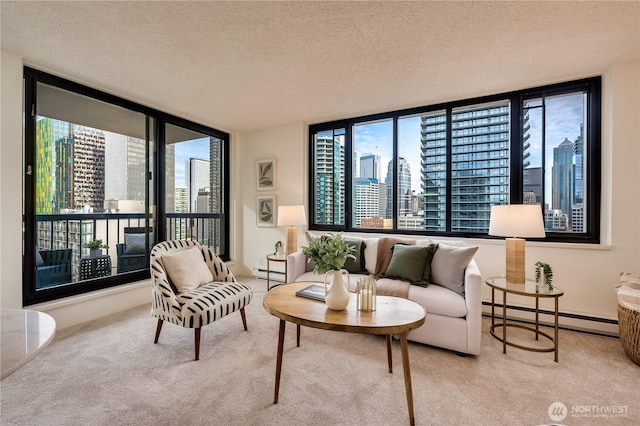 living area with baseboard heating, a textured ceiling, a view of city, and carpet floors