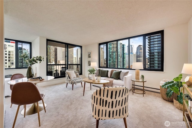 carpeted living room featuring a textured ceiling, a city view, a wealth of natural light, and a baseboard radiator