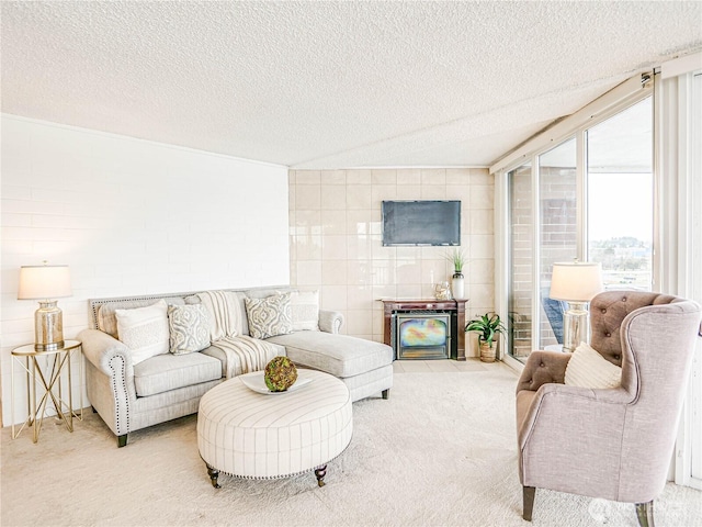 living area featuring carpet and a textured ceiling