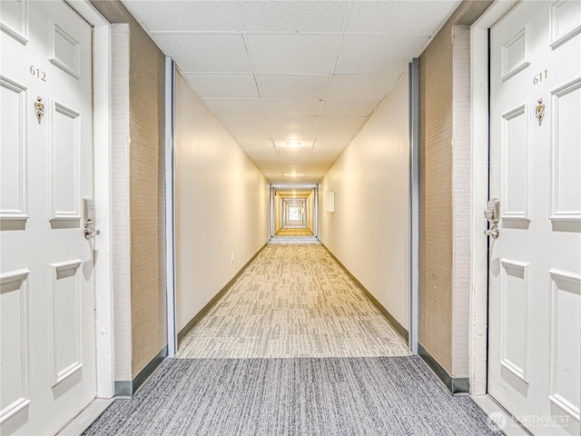 hallway featuring a drop ceiling, carpet, and baseboards