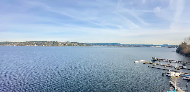 view of dock with a water view