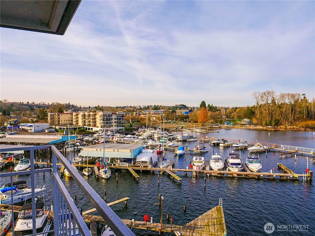 dock area with a water view