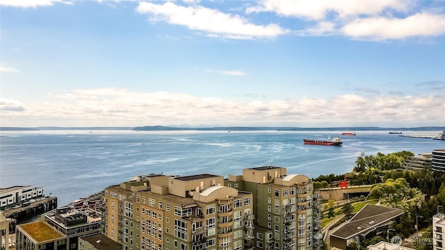 drone / aerial view with a water view