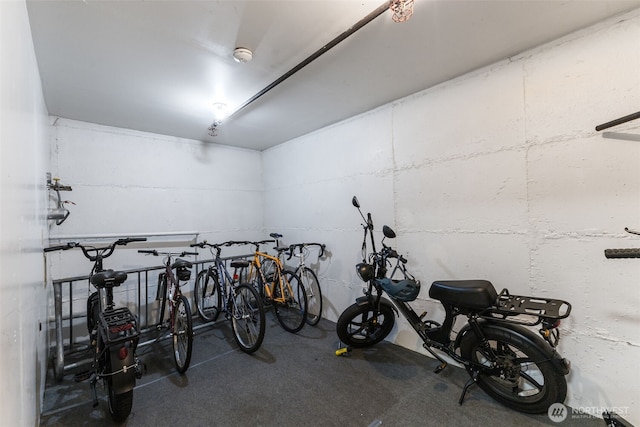 garage with bike storage