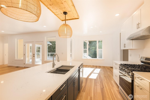 kitchen with appliances with stainless steel finishes, pendant lighting, a sink, and light wood-style flooring