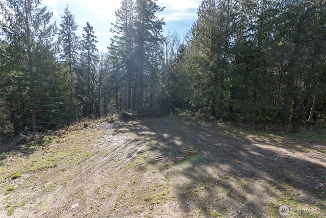 view of street featuring a view of trees