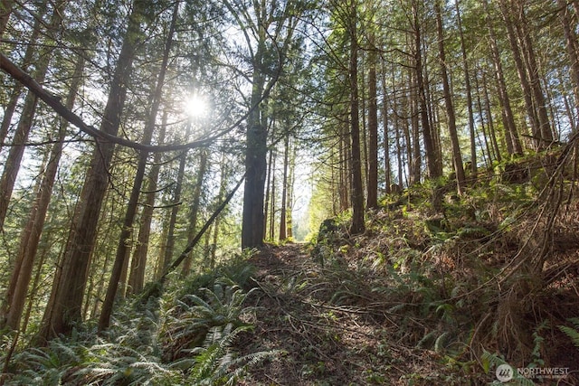 view of local wilderness featuring a wooded view