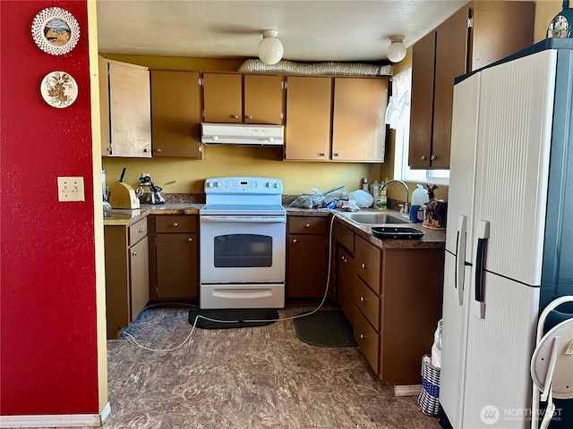 kitchen featuring white appliances, under cabinet range hood, and a sink