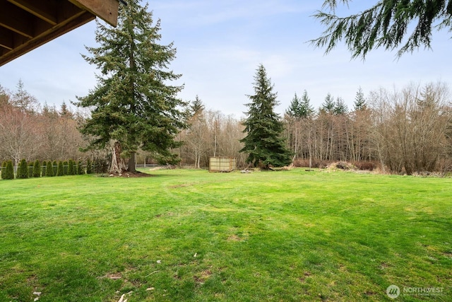 view of yard featuring a forest view