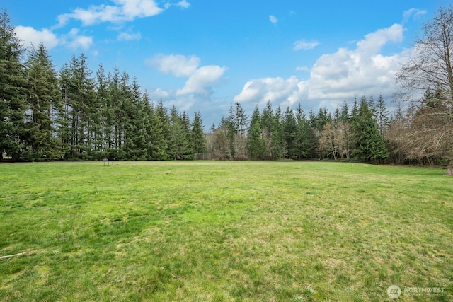 view of yard featuring a view of trees