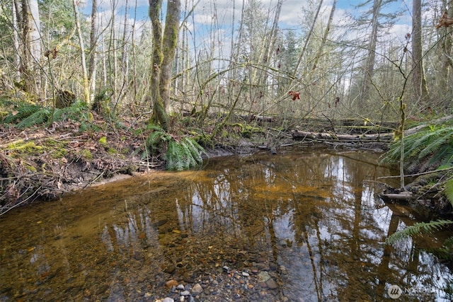 view of water feature with a wooded view