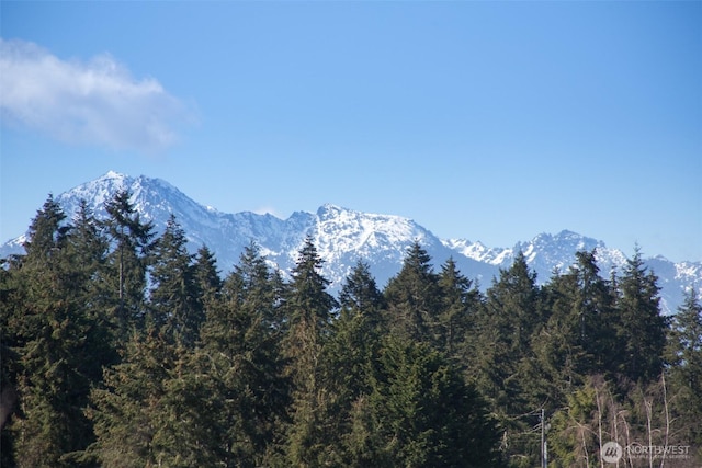 view of mountain feature with a forest view