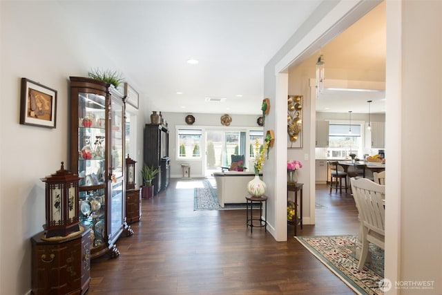 entryway featuring a healthy amount of sunlight, baseboards, visible vents, and dark wood-type flooring