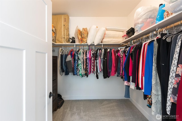 spacious closet with carpet floors