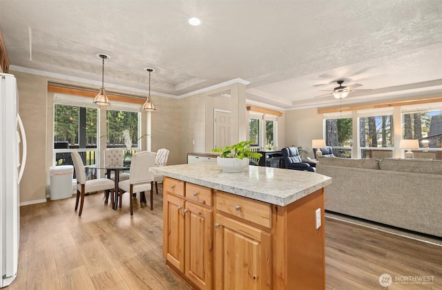 kitchen with a raised ceiling, light countertops, light wood-style floors, and freestanding refrigerator