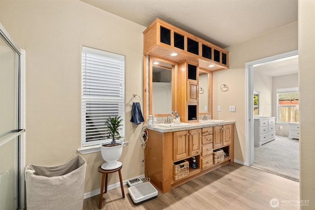 bathroom featuring a sink, baseboards, wood finished floors, and double vanity