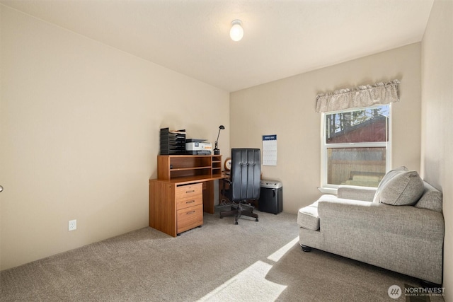 office featuring light colored carpet