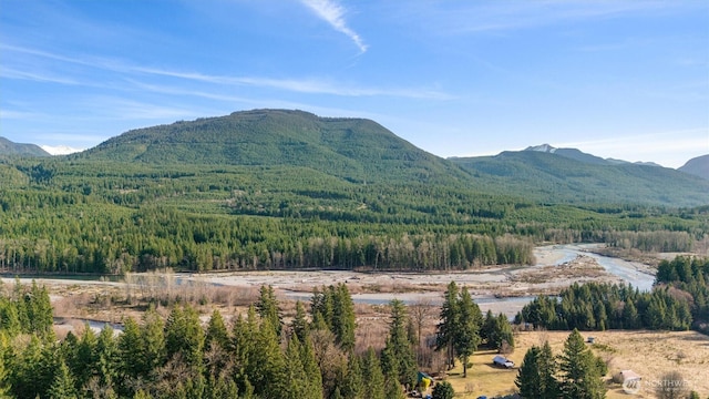 property view of mountains featuring a view of trees