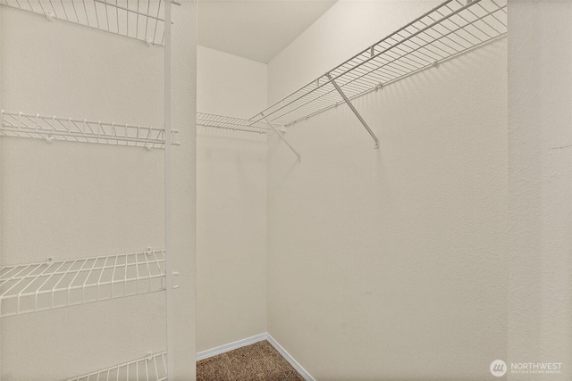 spacious closet with carpet