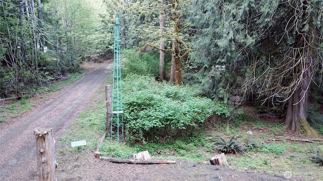 view of street featuring a wooded view