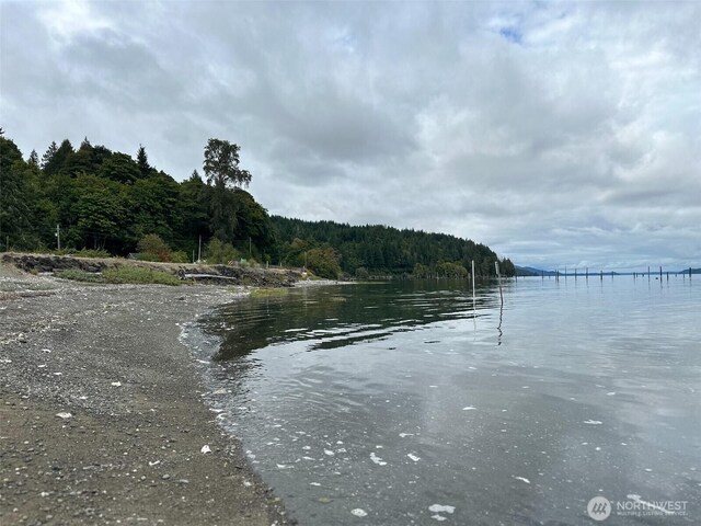 property view of water featuring a forest view