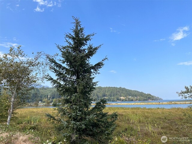 view of water feature with a forest view