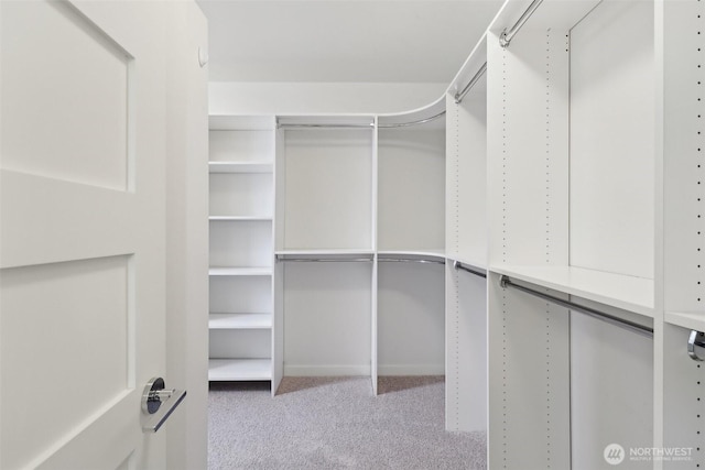 walk in closet featuring carpet flooring