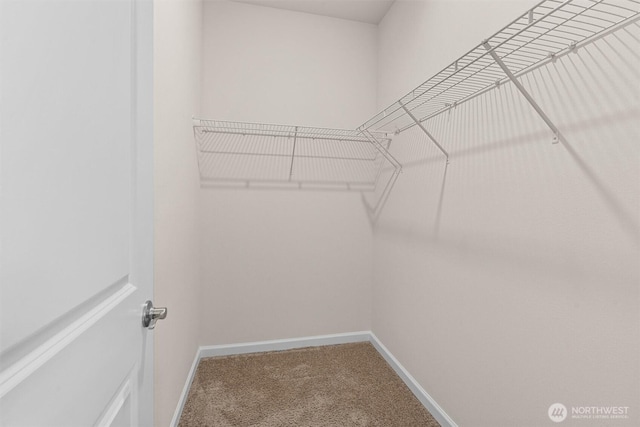 walk in closet featuring light colored carpet