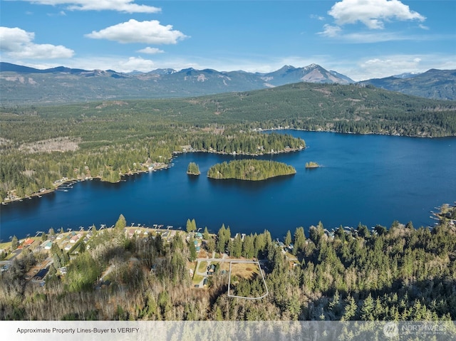 33016 S Shore Dr, Lake Cavanaugh WA, 98274 land for sale