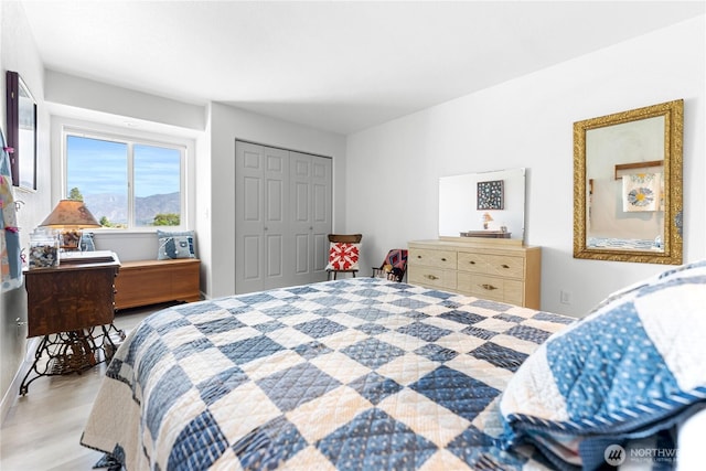 bedroom featuring a closet and light wood finished floors