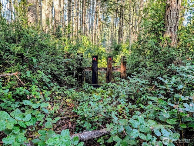 0 30th St SW, Lakebay, WA 98349 - photo 1