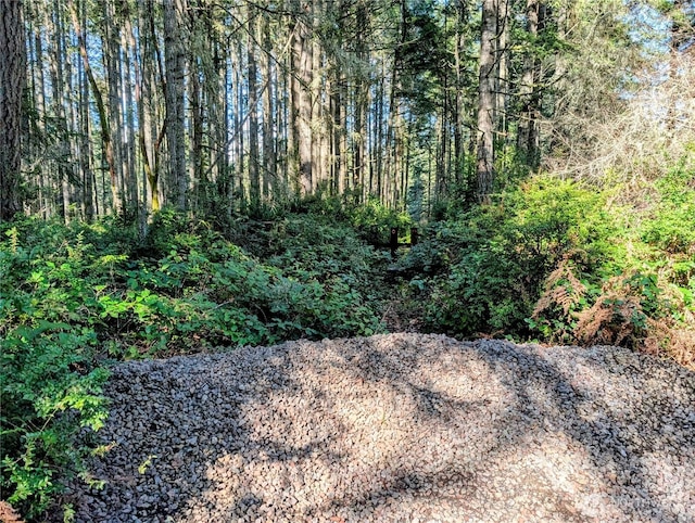 0 30th St SW, Lakebay, WA 98349 - photo 3