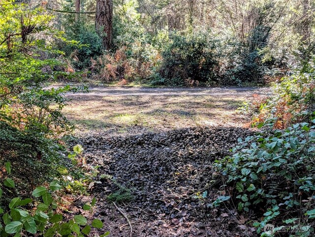 0 30th St SW, Lakebay, WA 98349 - photo 4