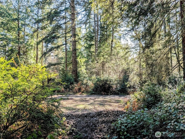 0 30th St SW, Lakebay, WA 98349 - photo 5
