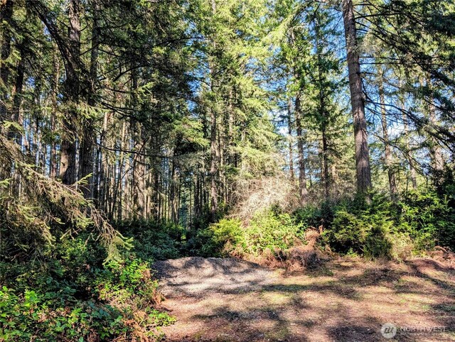 0 30th St SW, Lakebay, WA 98349 - photo 6