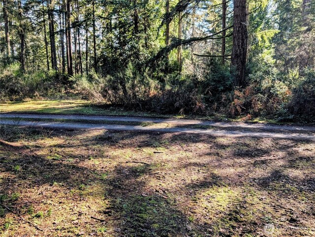 0 30th St SW, Lakebay, WA 98349 - photo 7