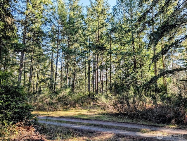 0 30th St SW, Lakebay, WA 98349 - photo 8