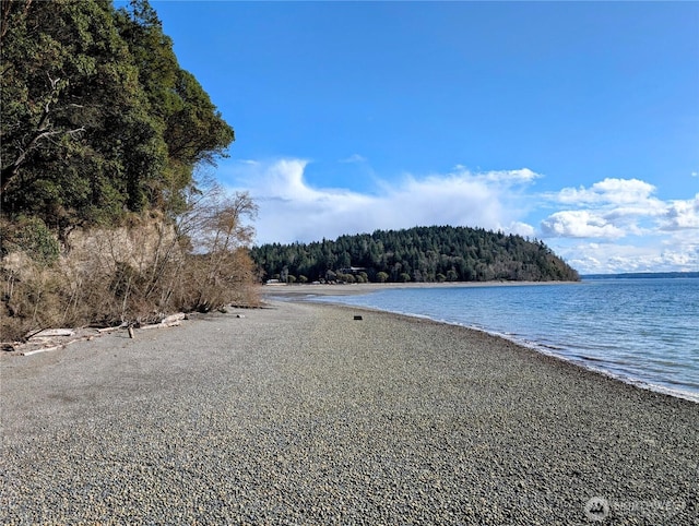 0 30th St SW, Lakebay, WA 98349 - photo 20