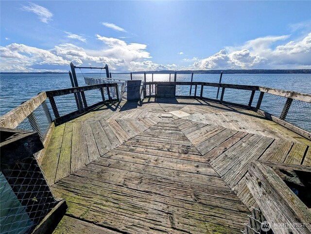 0 30th St SW, Lakebay, WA 98349 - photo 23