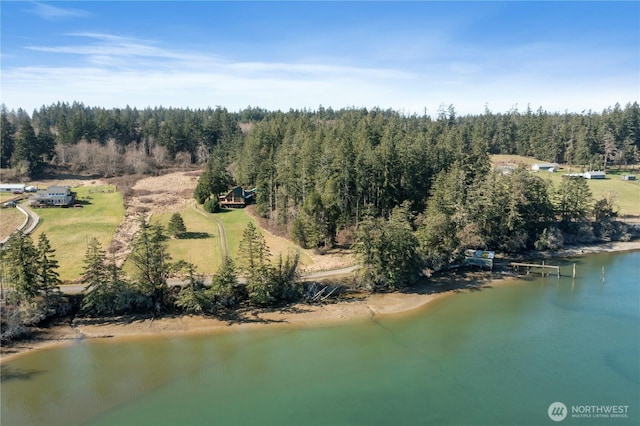 birds eye view of property featuring a water view and a wooded view