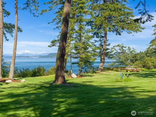 373 Eliza Rd, Lopez Island, WA 98261 - view of grassy yard featuring a water and mountain view