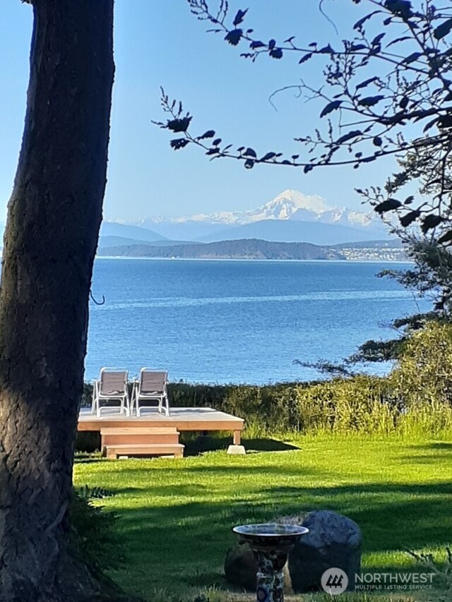 373 Eliza Rd, Lopez Island, WA 98261 - view of home's community with a water and mountain view and a lawn
