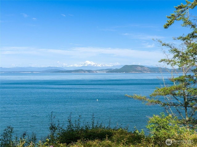 373 Eliza Rd, Lopez Island, WA 98261 - water view featuring mountains