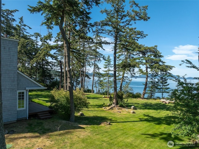 373 Eliza Rd, Lopez Island, WA 98261 - view of grassy yard