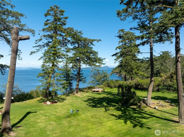 373 Eliza Rd, Lopez Island, WA 98261 - water view with a mountainous background