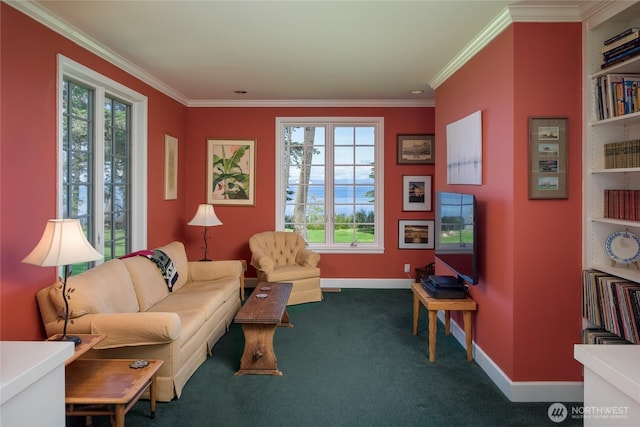 373 Eliza Rd, Lopez Island, WA 98261 - living area with plenty of natural light, ornamental molding, and dark carpet