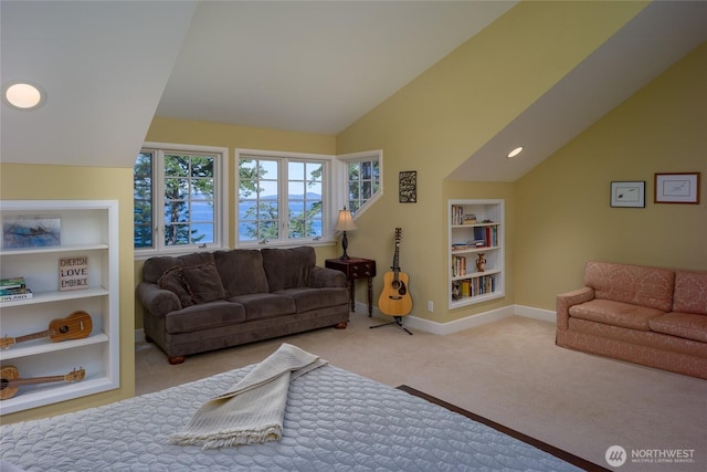 373 Eliza Rd, Lopez Island, WA 98261 - carpeted living area with vaulted ceiling and built in features