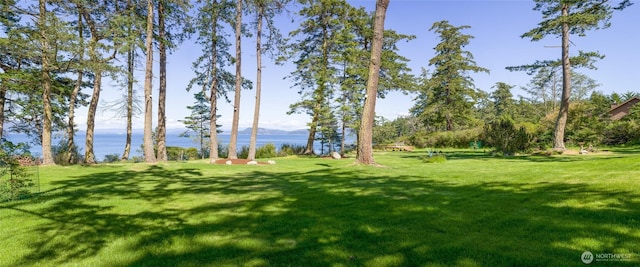 373 Eliza Rd, Lopez Island, WA 98261 - view of grassy yard featuring a water and mountain view