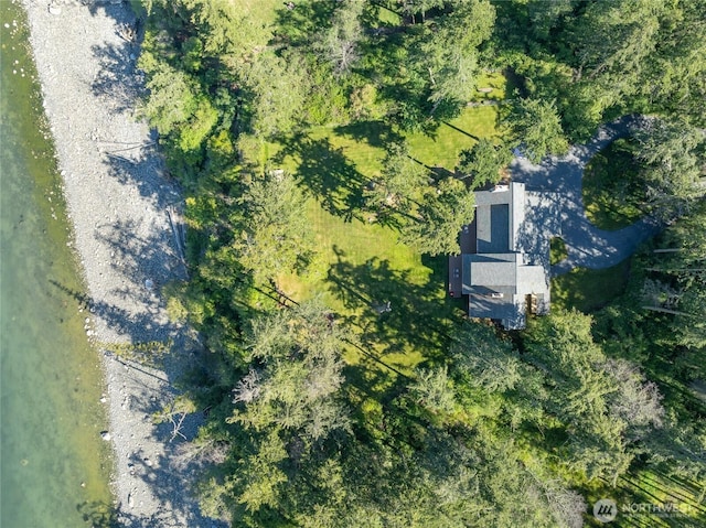 373 Eliza Rd, Lopez Island, WA 98261 - aerial overview of property's location